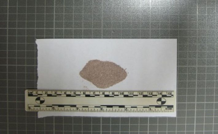 За два грамма амфетамина депутата могут посадить на десять лет. Фото с сайта gnk.nsk.ru