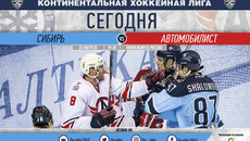 Фото с сайта hcsibir.ru