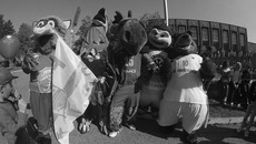 Фото с сайта fc-sibir.ru