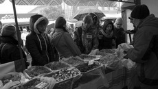 Фото предоставлено пресс-службой мэрии Новосибирска