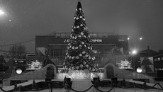 Фото Аркадия УВАРОВА