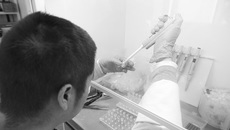 Биотехнологии — одна из наиболее развитых отраслей научно-прикладных разработок в регионе и базовых — в программе реиндустриализации экономики. Фото Аркадия УВАРОВА