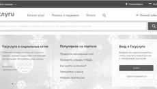 Скриншот сайта gosuslugi.ru