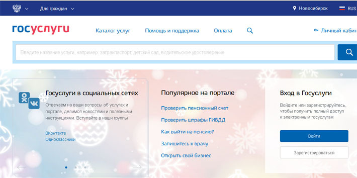 Скриншот сайта gosuslugi.ru