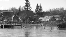 Фото Аркадия УВАРОВА