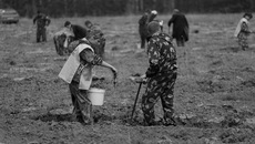 Фото Аркадия УВАРОВА