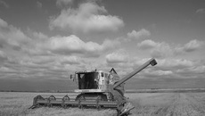 Фото Аркадия УВАРОВА
