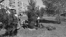 В Линёво должно быть зелено и красиво — это один из пяти шагов по благоустройству моногорода. 