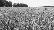 Фото Аркадия УВАРОВА