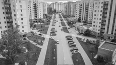 Фото Никиты ДАВЫДЕНКО