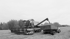 Фото предоставлено ПК «Колхоз «Кожурла»