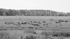 Фото Натальи ДОНЕЦ