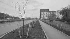 Фото Артема ТИУНОВА