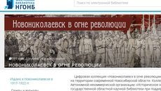 Скриншот сайта elibrary.ngonb.ru