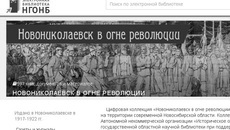 Скриншот сайта elibrary.ngonb.ru