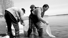 В 2017 году на зарыбление водоемов, борьбу с браконьерством и господдержку рыбной отрасли направлено 20 миллионов рублей, с 2012 по 2016 год отрасль получила из областного бюджета более 100 миллионов рублей