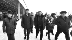 Фото с сайта nso.ru