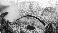 Фото Аркадия УВАРОВА