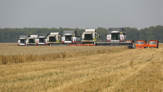 Фото Аркадия УВАРОВА