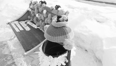 Фото Аркадия УВАРОВА