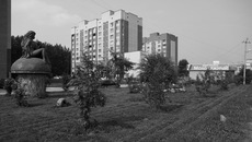 Фото Аркадия УВАРОВА
