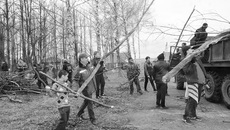 В субботнике в Листвянском приняли участие и взрослые, и дети. фото Екатерины Тимофеевой