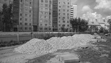 Фото Никиты ДАВЫДЕНКО