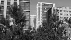 Фото Аркадия УВАРОВА