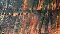 Фото Михаила ПЕРМИНА