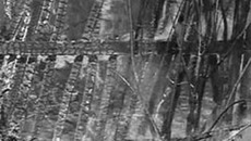 Фото Михаила ПЕРМИНА