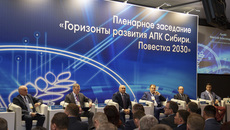 Главным событием агропродовольственного форума «АгроСиб-2018» стало пленарное заседание «Горизонты развития АПК Сибири. Повестка-2030»
