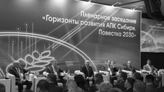 Главным событием агропродовольственного форума «АгроСиб-2018» стало пленарное заседание «Горизонты развития АПК Сибири. Повестка-2030»