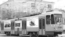Фото Виктора БОРОВСКИХ