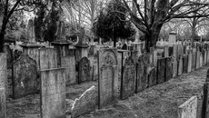 Фото с сайта pixbay.com