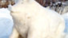 010-12.jpg