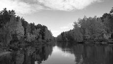 Краски осенней реки. Фото Максима МАЛИНОВСКОГО