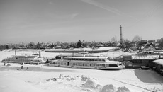 Фото Алексея ЦИЛЕРА (архив)