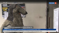 Кадр из репортажа Вести 24