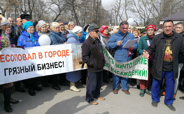 Фото Эльвиры НОВИКОВОЙ