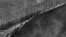Фото с сайта nso.ru