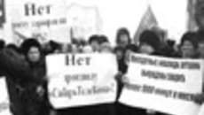 011-02.jpg