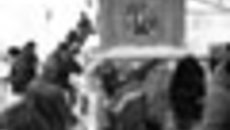 013-75.jpg