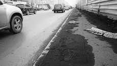 Фото Алексея ТАНЮШИНА