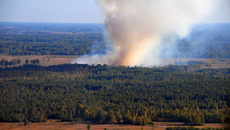 Фото с сайта www.nso.ru