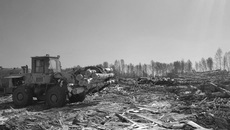 Фото с сайта www.nso.ru