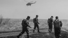Фото с сайта nso.ru 