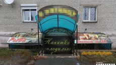 Фото Алексея ТАНЮШИНА