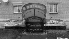 Фото Алексея ТАНЮШИНА