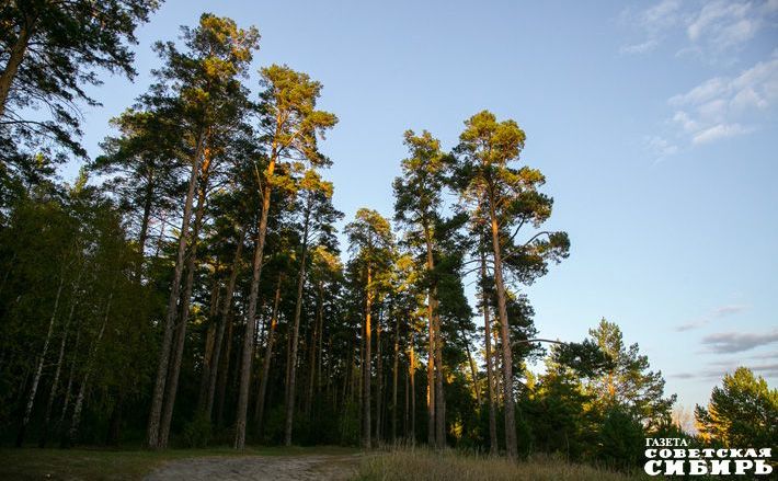 Фото Алексея ТАНЮШИНА