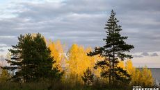 Фото Алексея ТАНЮШИНА